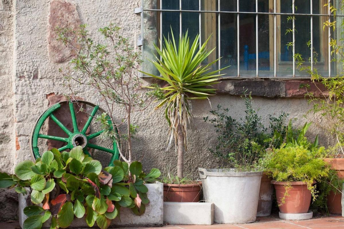 Masia Can Sunyer Agroturismo La Garriga Exterior foto